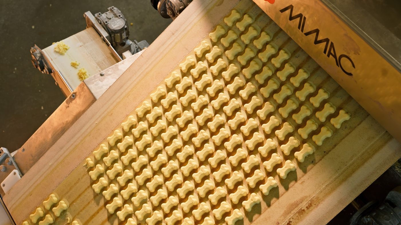 Mast Pet  Biscuits_01